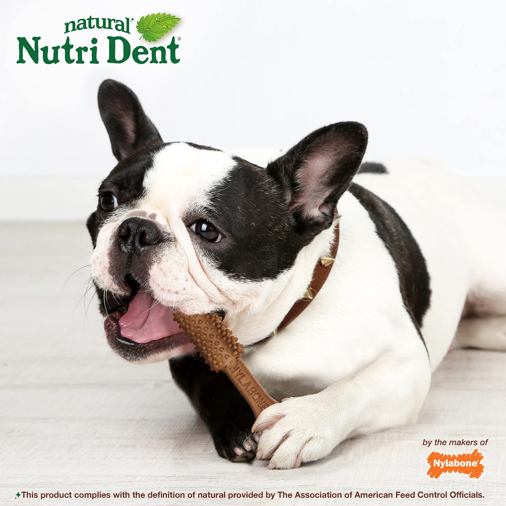 Nutri Dent sans colorants artificiels pour chien.