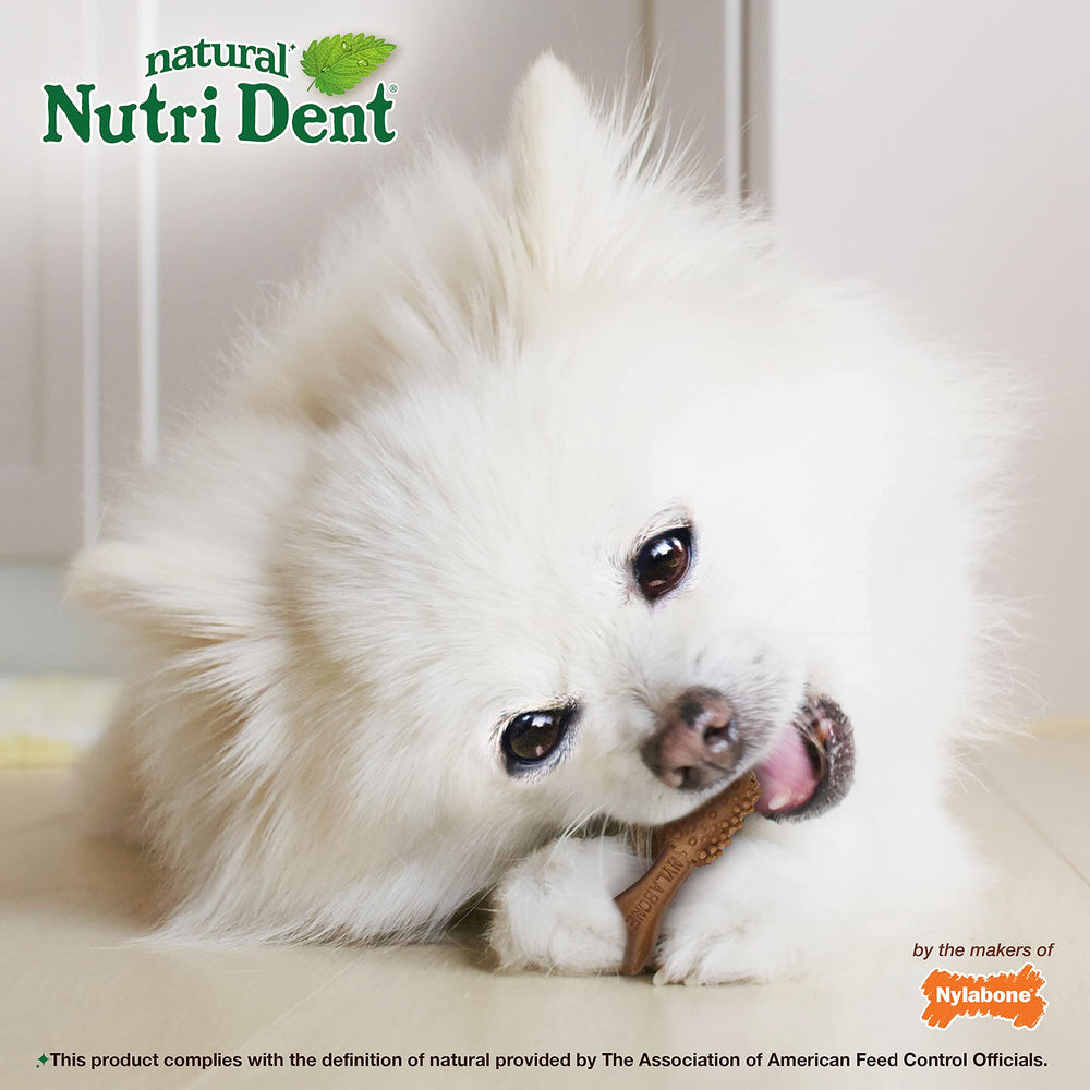 Nylabone Nutri Dent ingrédients-limités mini: formule simple et digeste