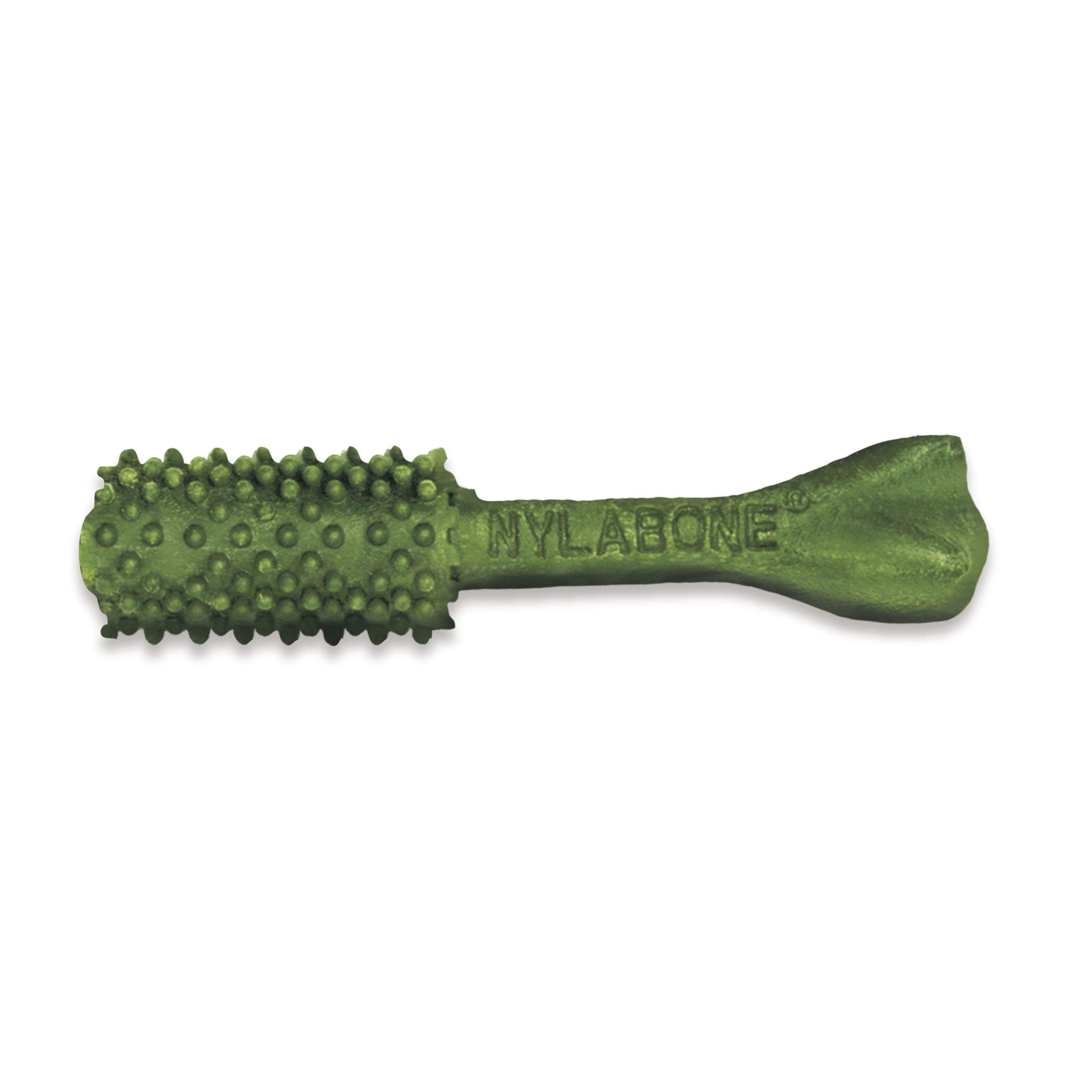 Nylabone Nutri Dent saveur fraiche pour haleine plus agréable