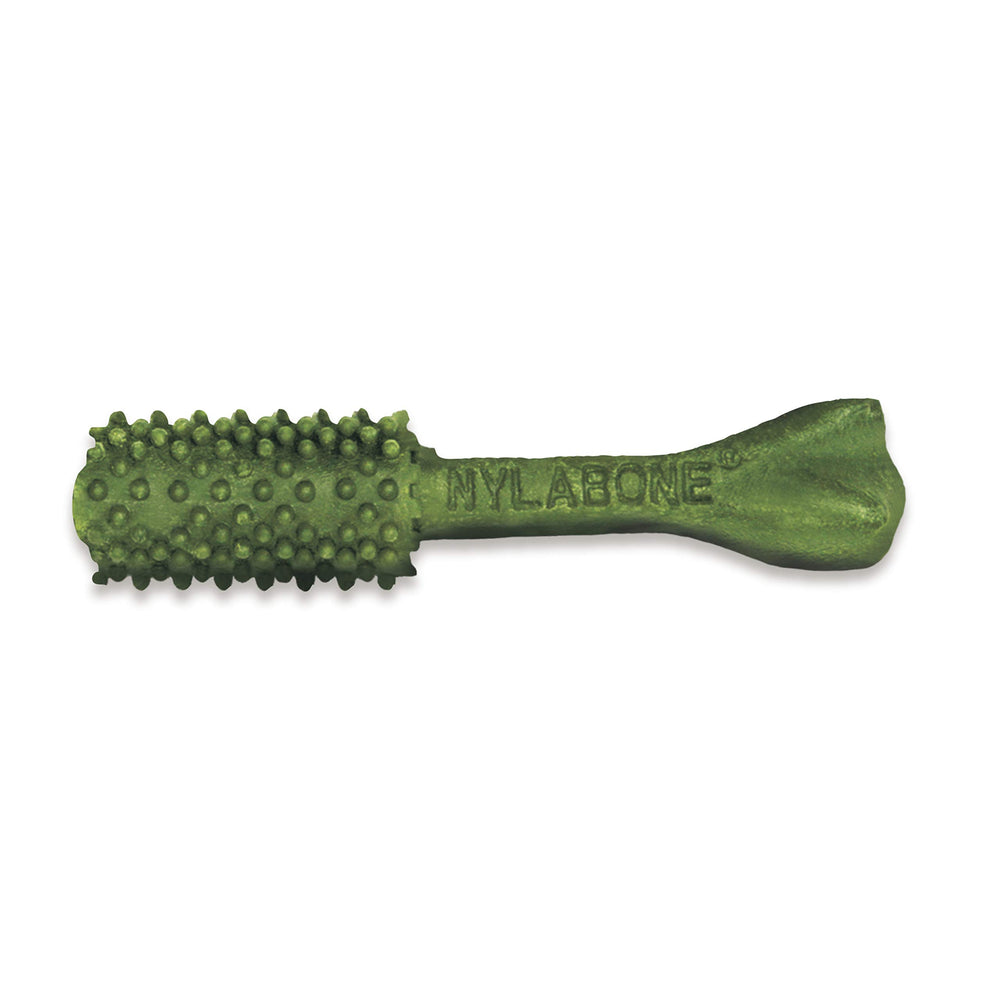 Nylabone Nutri Dent saveur fraiche pour haleine plus agréable