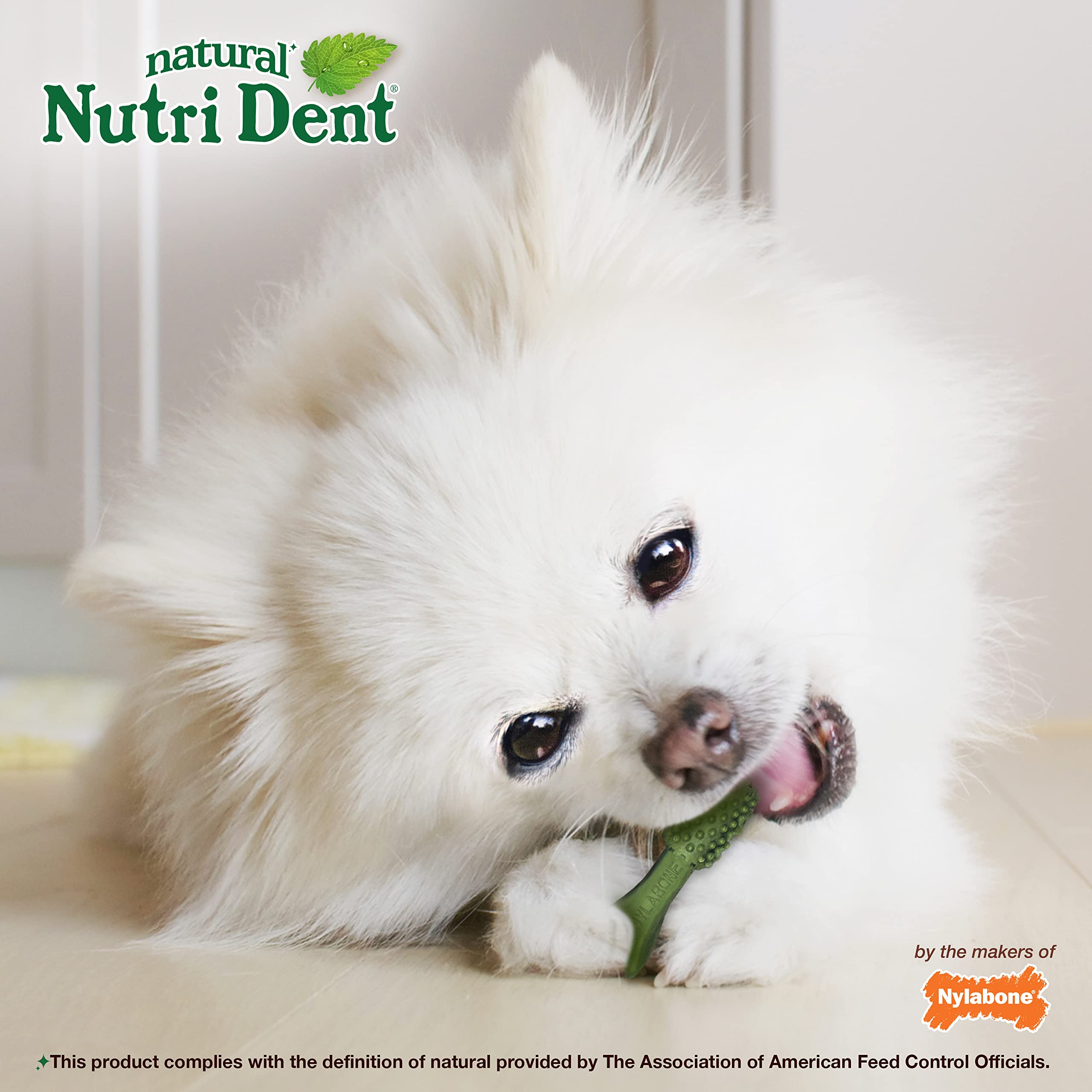 Nutri Dent, taille petit chien, convient aux petites races.