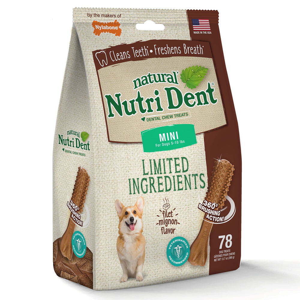 Nylabone Nutri Dent format mini: pratique à partager avec chiens pesant jusqu’à 10 livres