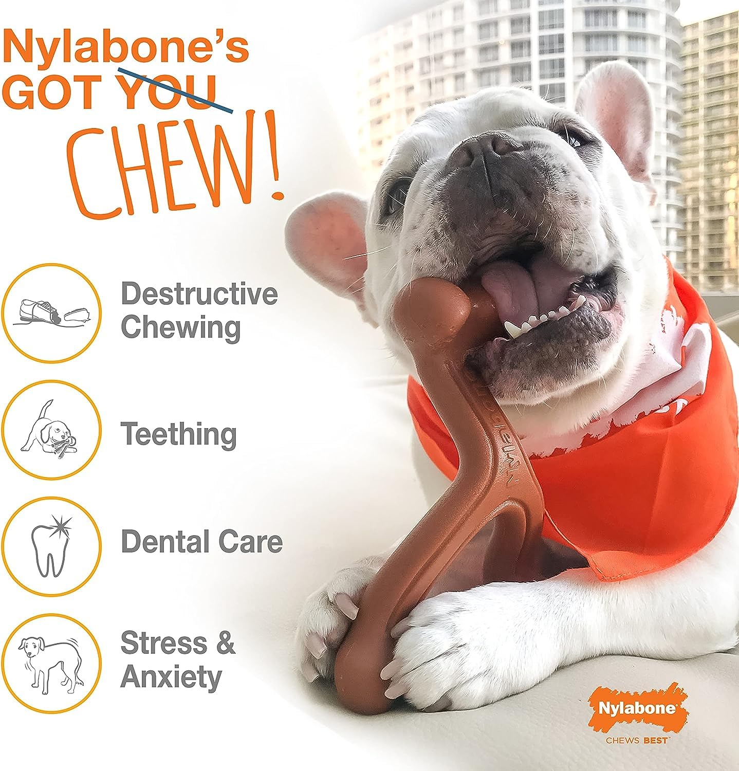Nylon durable pour mâchoires actives et agressives.