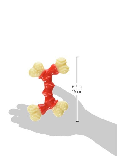 Nylon durable, jouet résistant pour morsures fortes chez le chien.