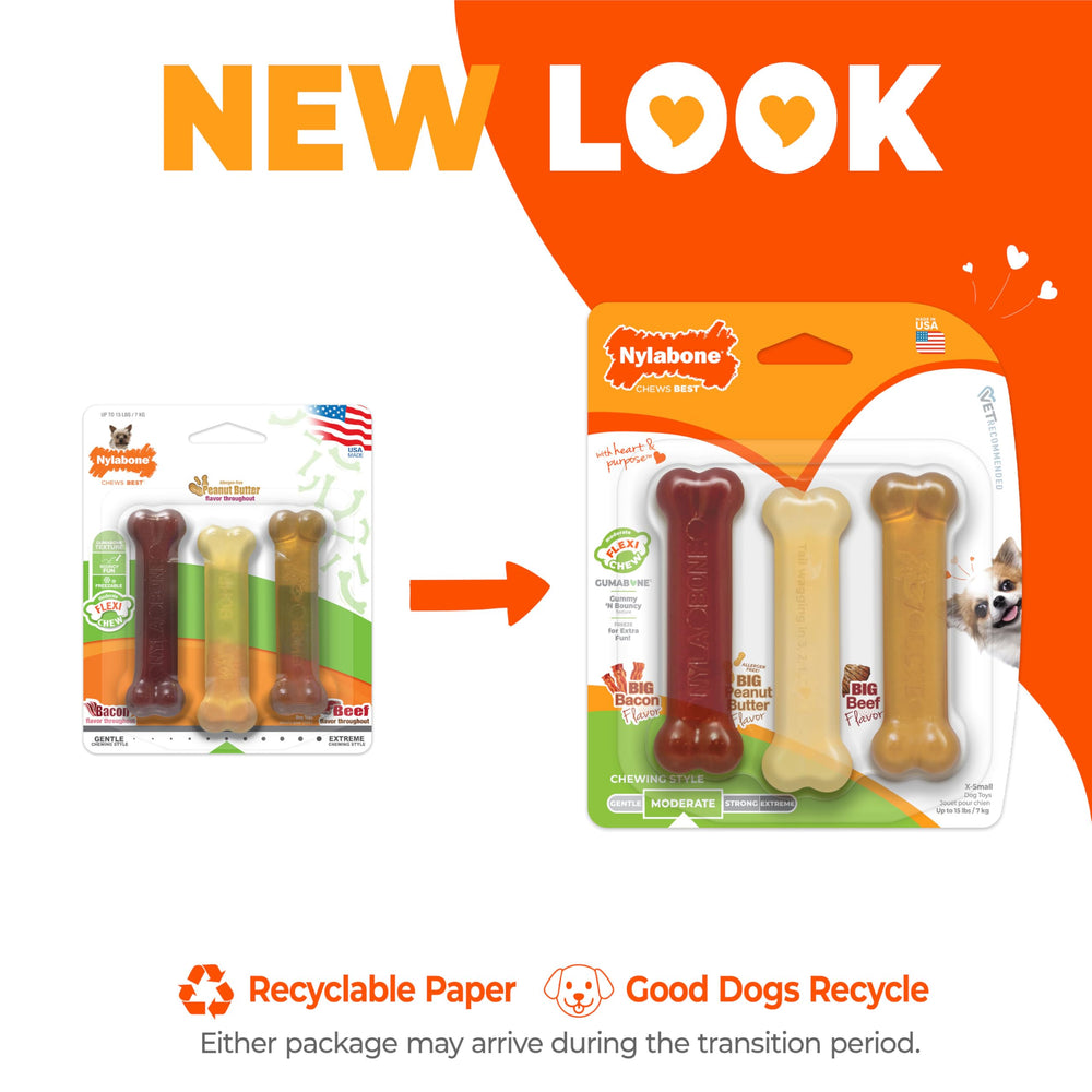 Nylabone os-flexi à mâcher, jouet pour petit chien.