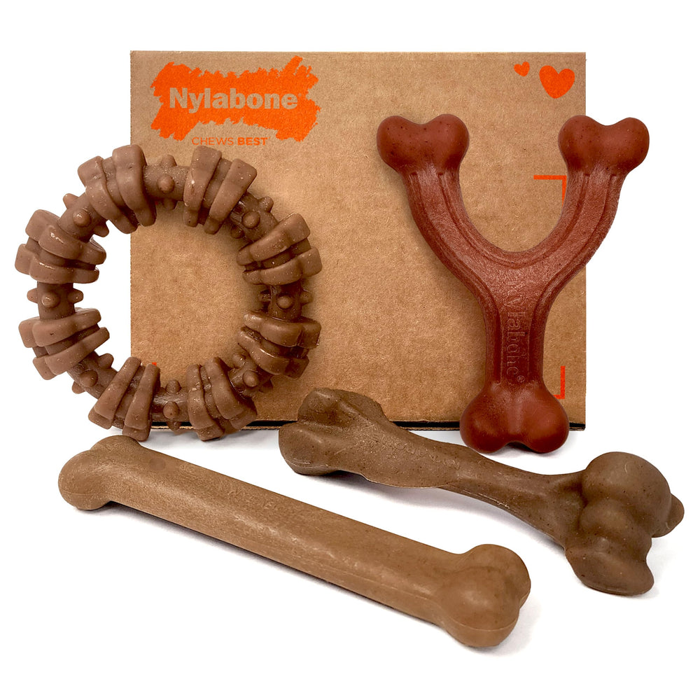 Nylabone Original Bone poulet, expérience de mastication pratique et sécurisée