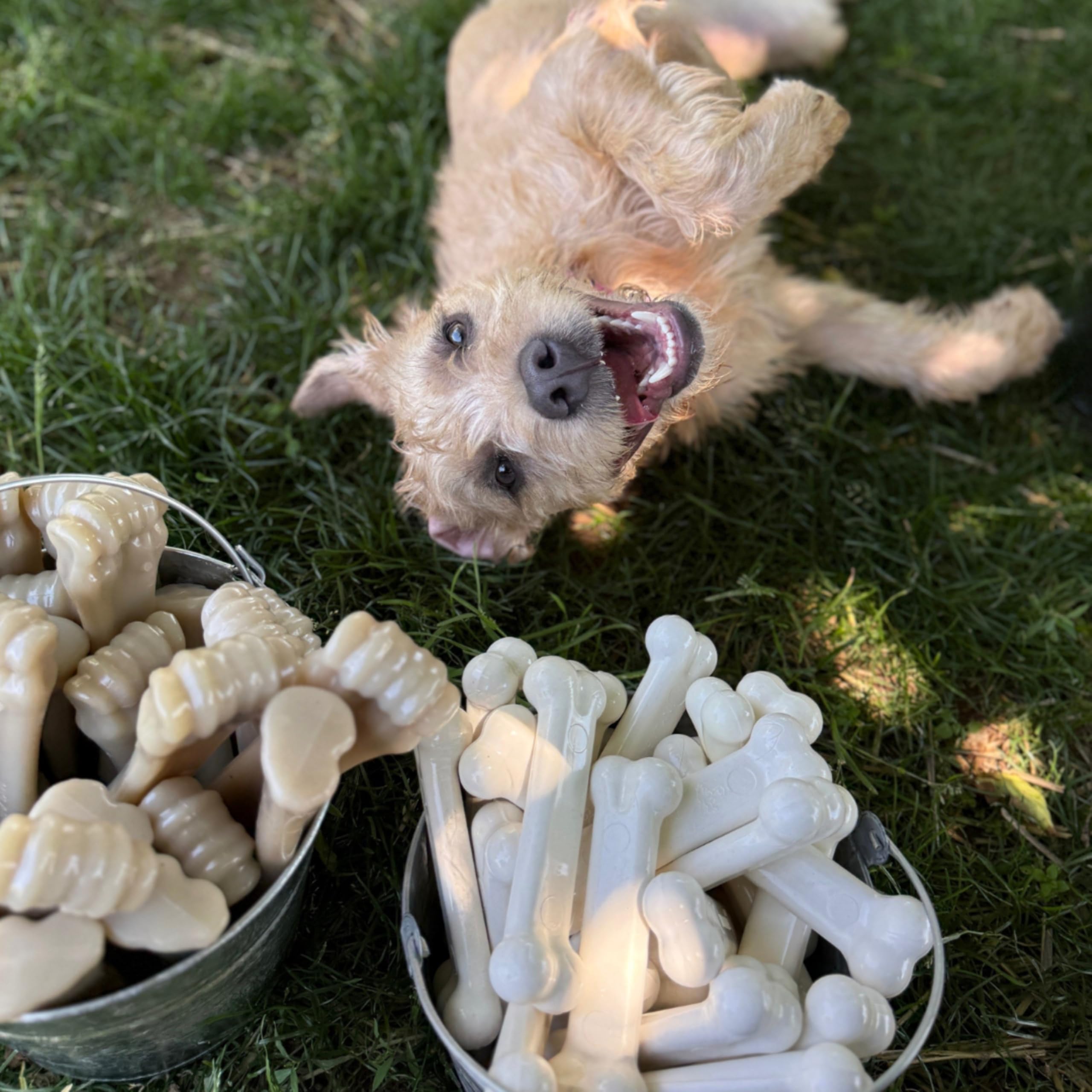 Nylabone Original Bone Power Chew pour chien moyen jusqu’à 16 kg: taille adaptée.