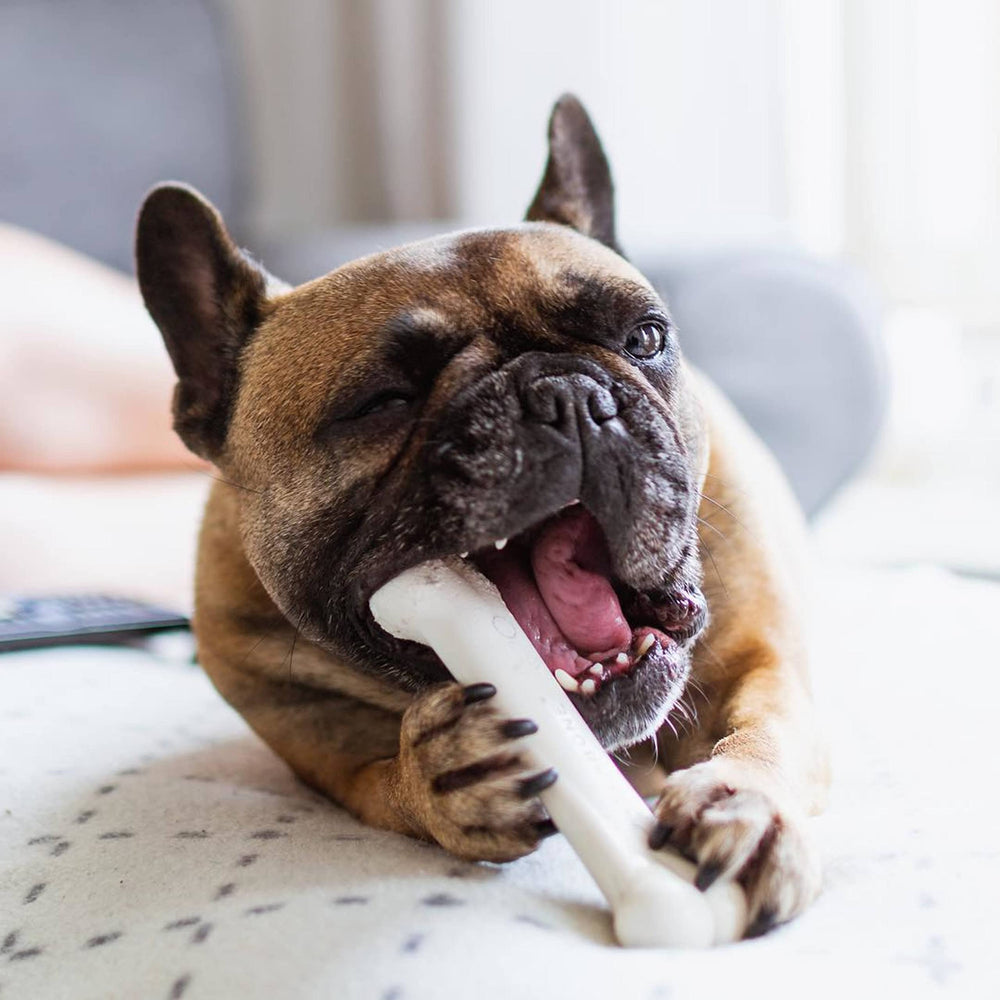 Nylabone Original Bone Power Chew saveur poulet: goût persistant pendant le jeu.
