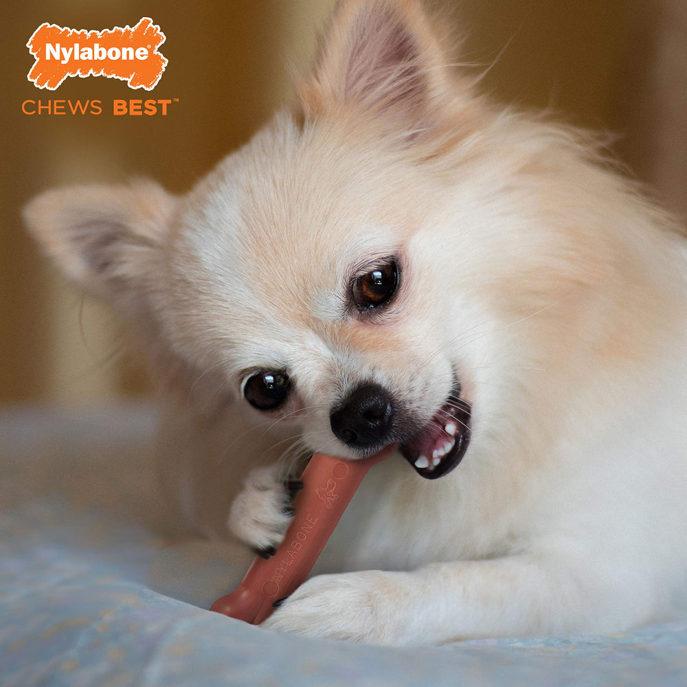 Nylabone os-classic-xs pour petit chien jusqu'à 6,8 kg.