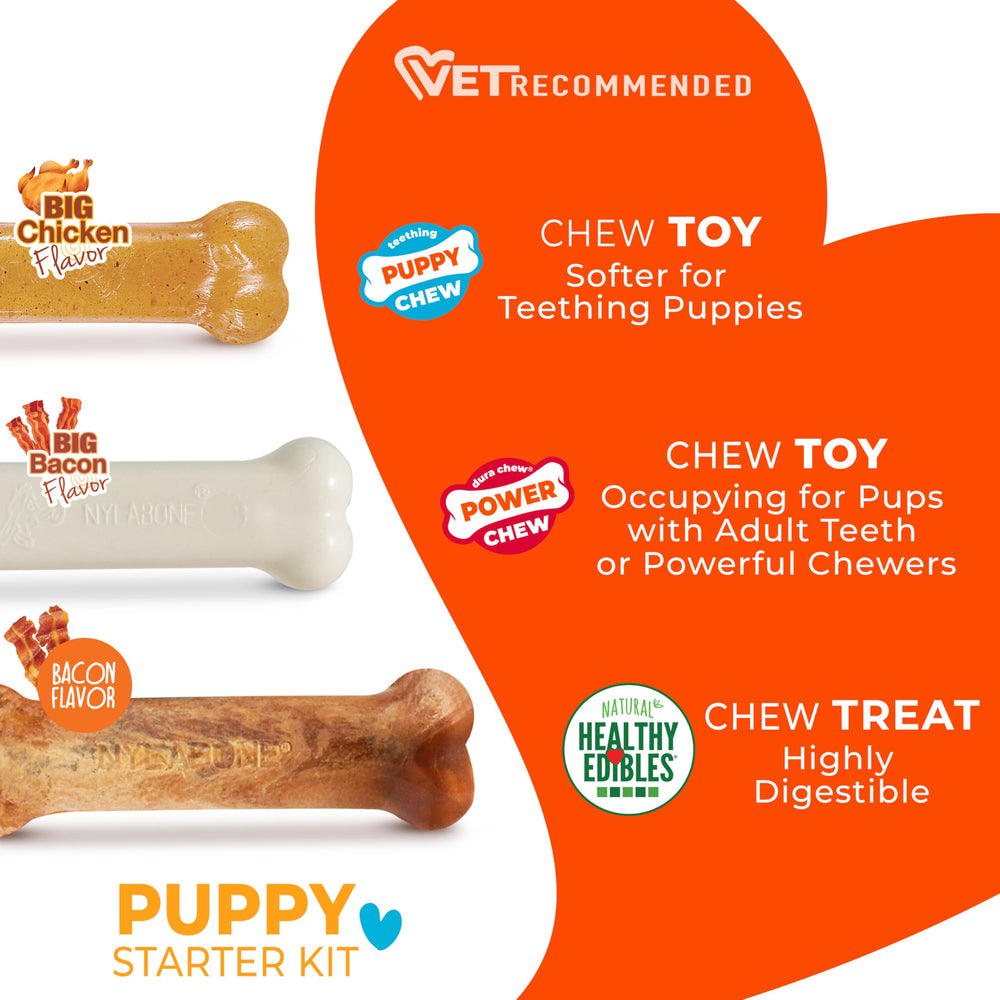 Nylabone os dentition chiot doux — premier jouet pour dentition confortable.