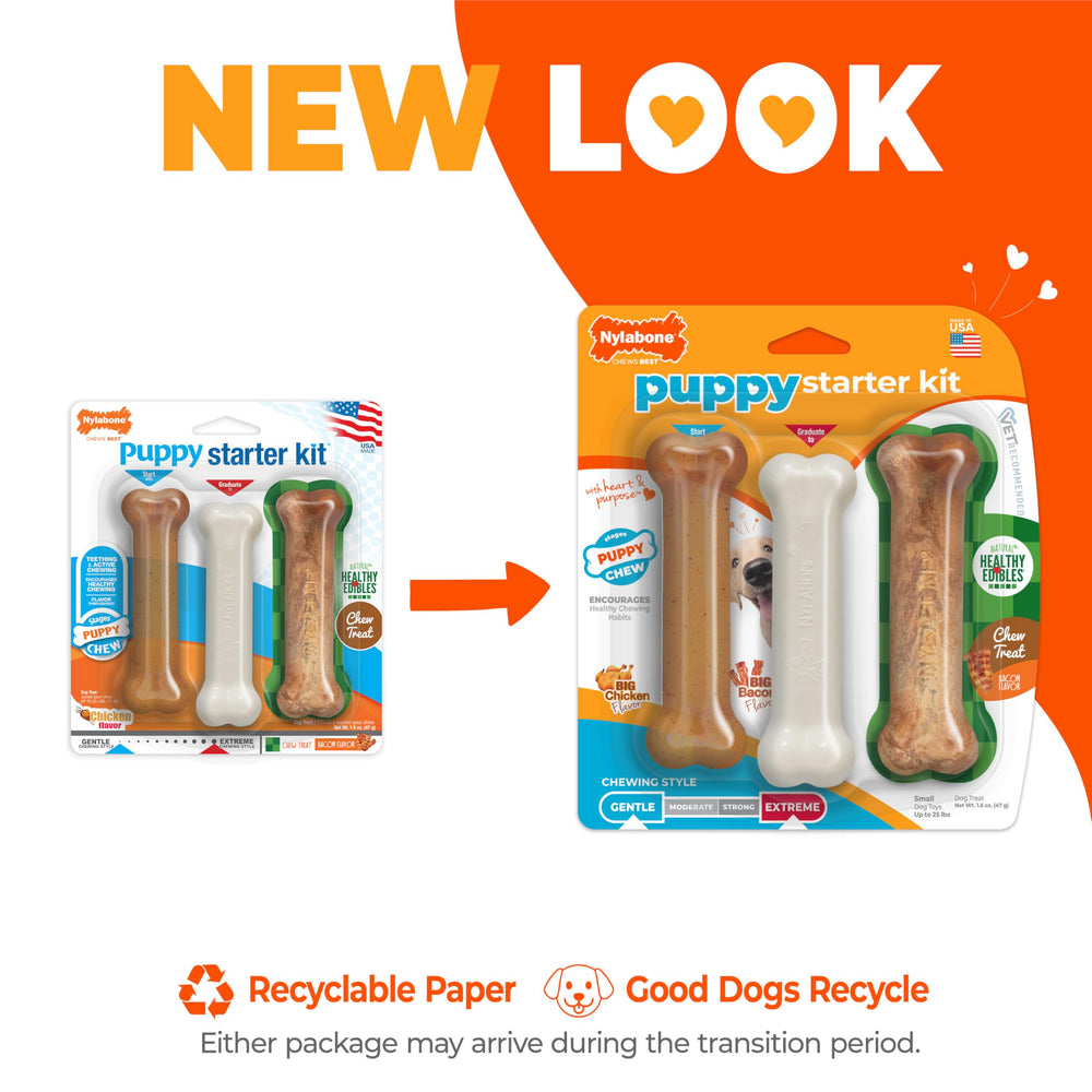 Nylabone os dentition chiot puissant — jouet résistant pour jeune dentition.