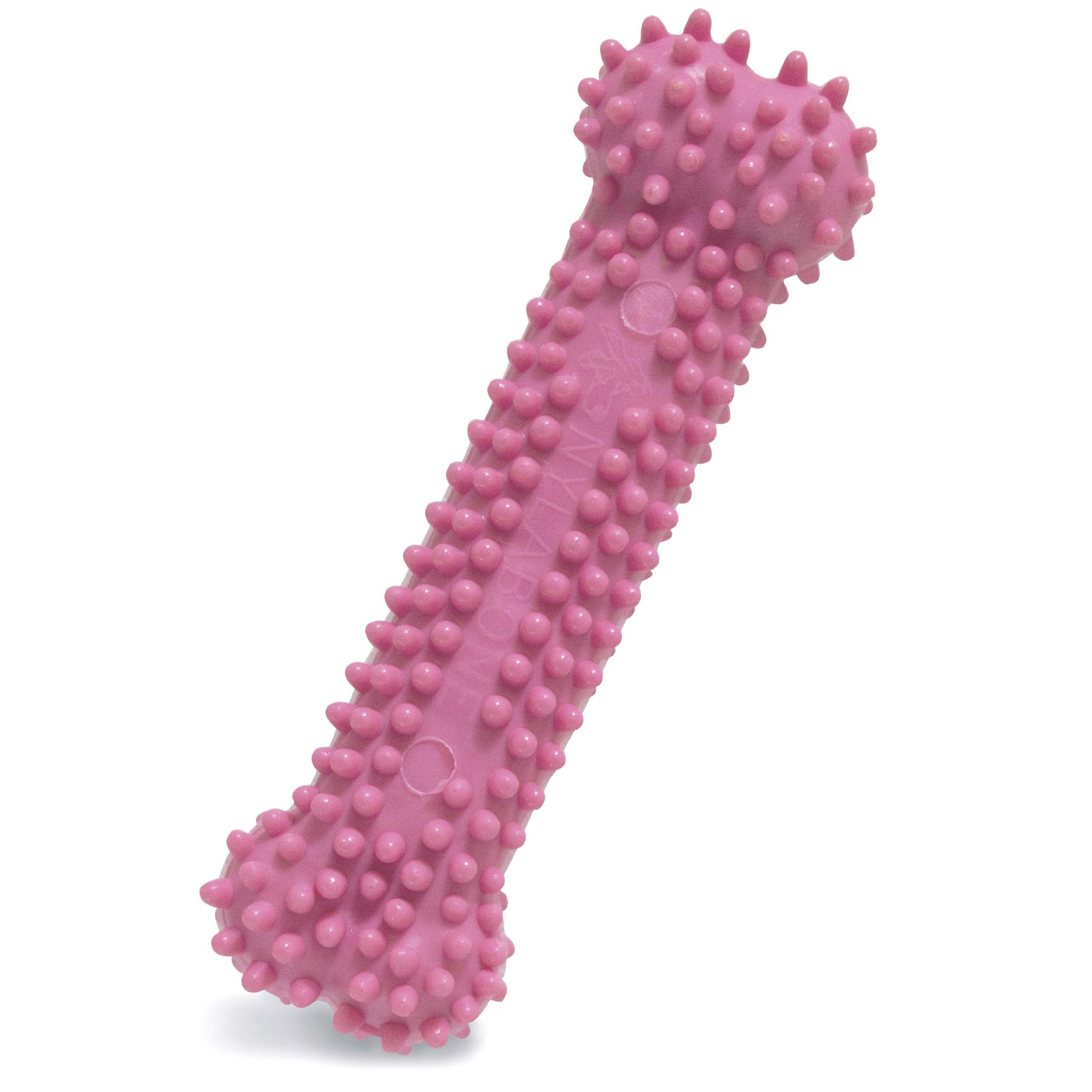 Nylabone os-dentition-texture chiot-petit: soulage les gencives et soutien la poussée dentaire.