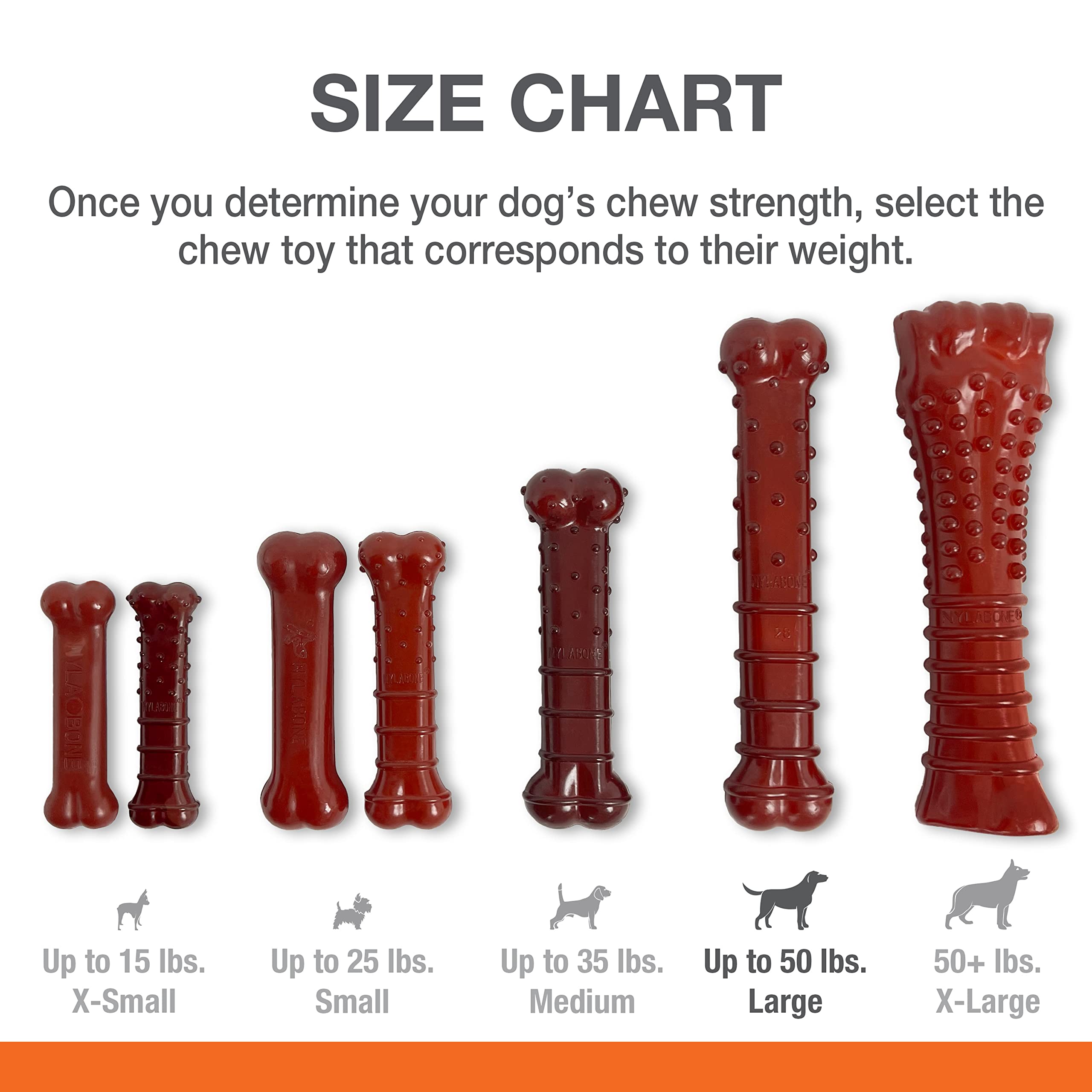 Nylabone Os fabriqué aux États‑Unis garantit une qualité maîtrisée.