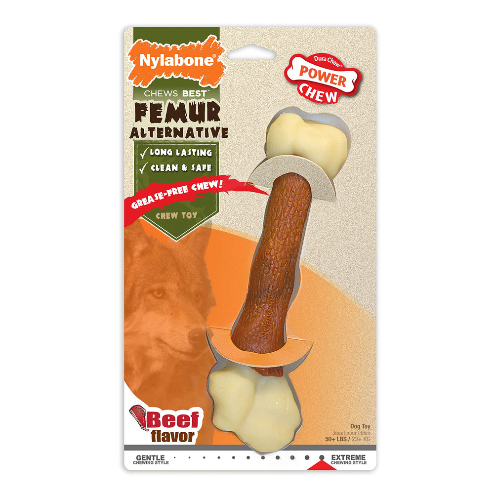 Nylabone os femur alternative robuste pour mâcher sans éclats.