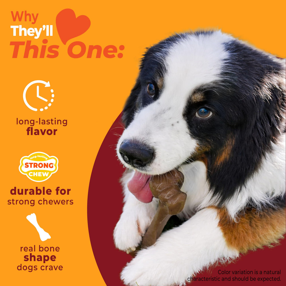 Nylabone os-femur-authentique-sans-graisse : forme authentique sans graisse ni éclats.
