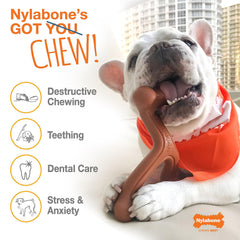 Nylabone Os Original Puissance, grande taille adaptée pour chiens jusqu’à 50 lb