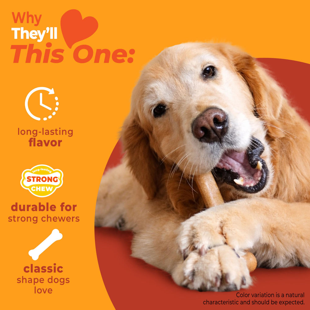 Nylabone Os Original – forme d os iconique qui plaît aux chiens.