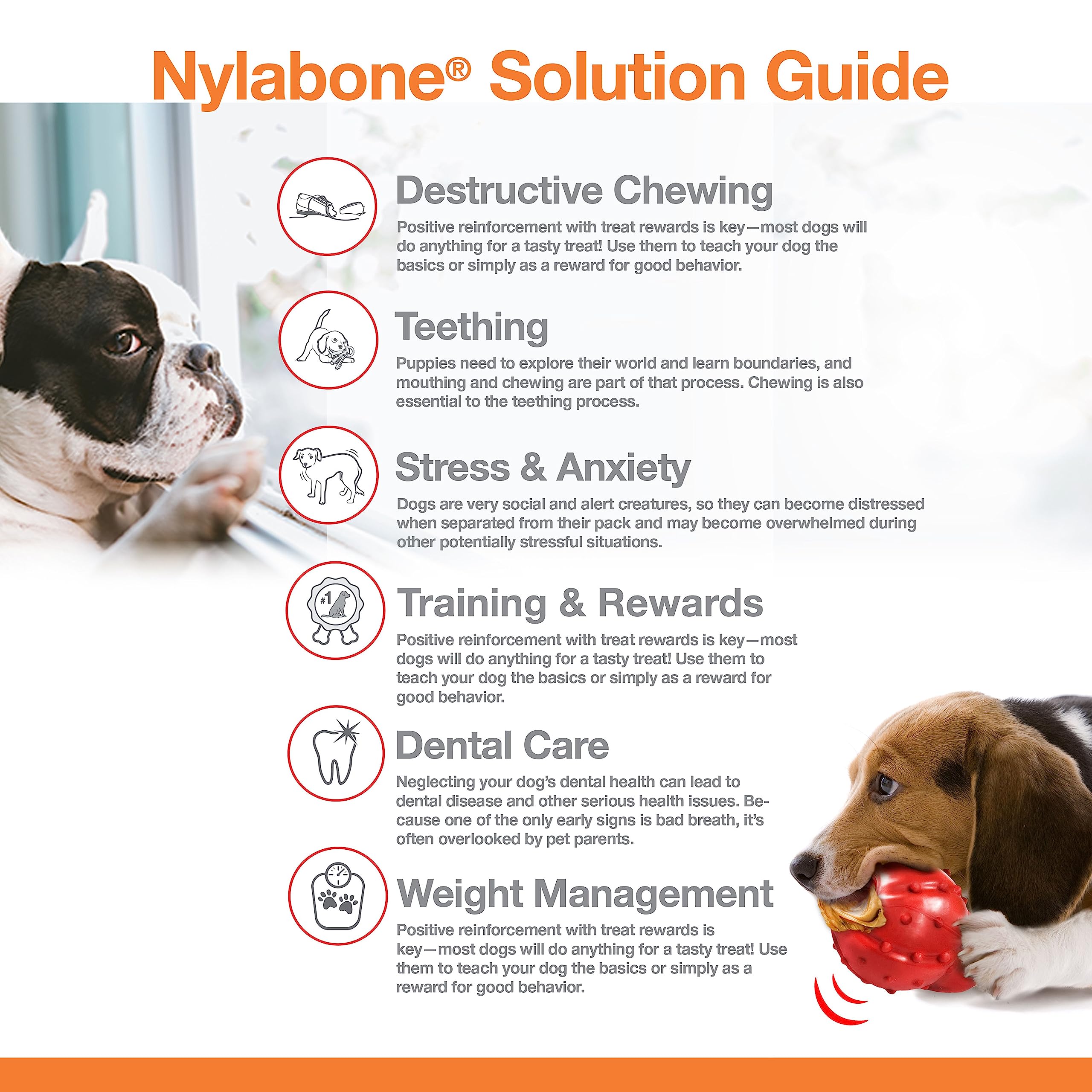 Nylabone Os Original Puissance, conçu pour décourager les morsures destructrices
