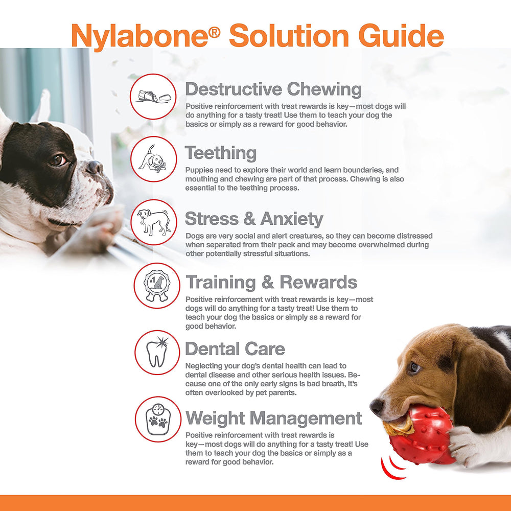 Nylabone Os Original Puissance, conçu pour décourager les morsures destructrices