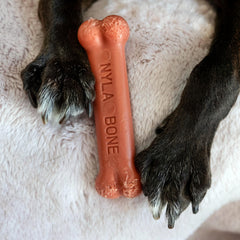 Nylabone Original Bone Power Chew, parfum bacon, idéal pour chiens jusqu’à 11 kg.