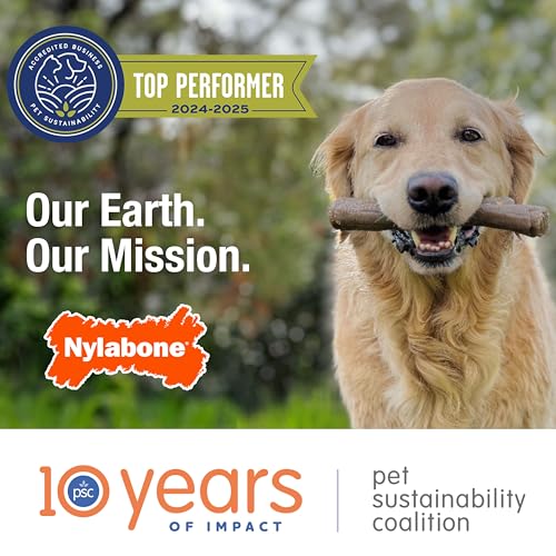 Nylabone Os Original Puissant, texture variee pour une mastication enrichissante.