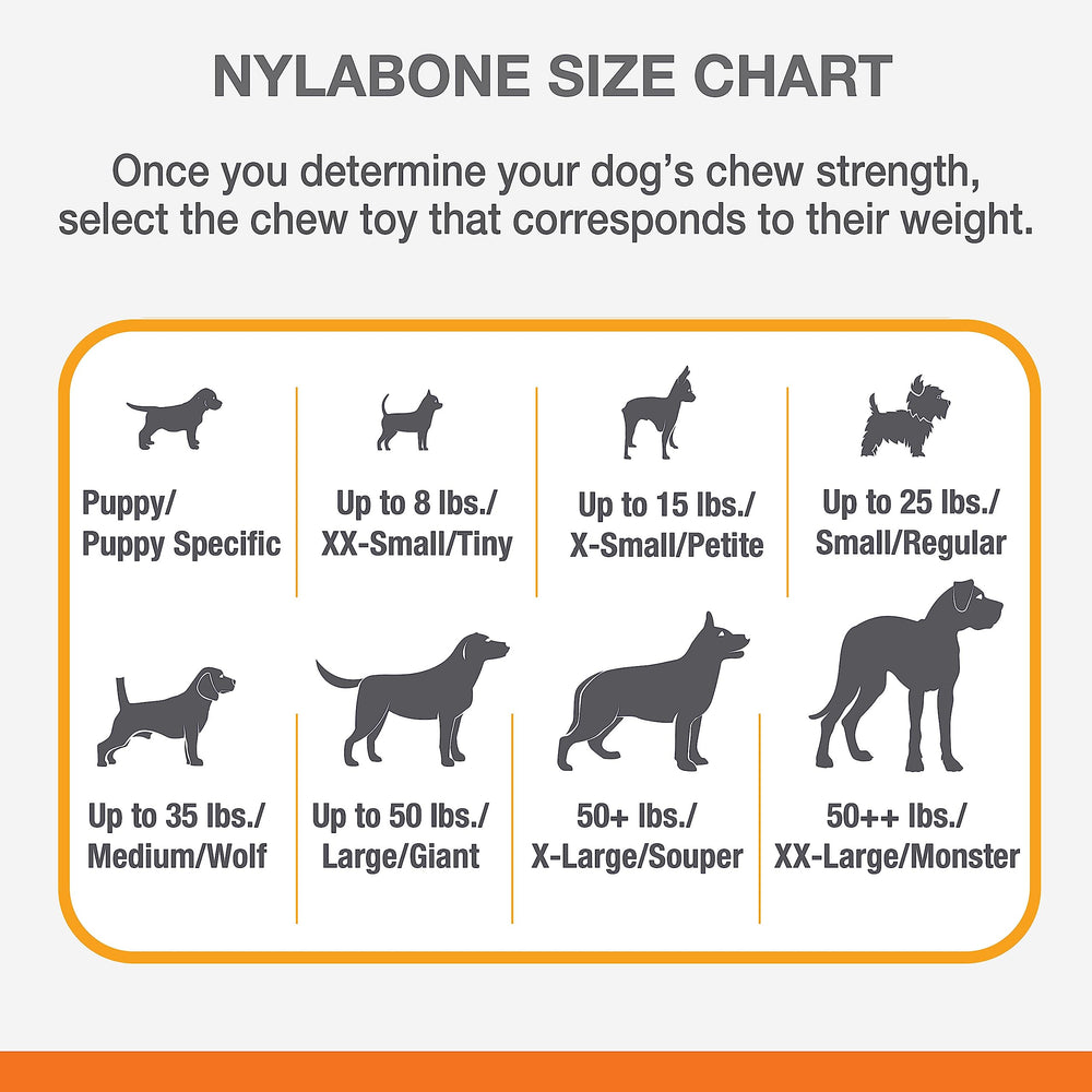 Nylabone Os Original Puissance, saveur beignets croustillants pendant les sessions de mâchage