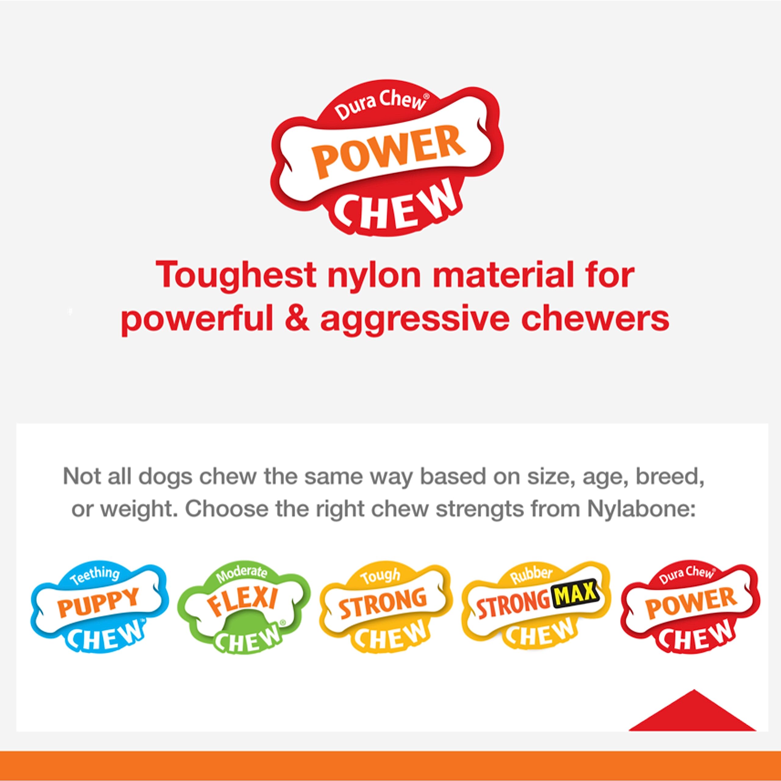 Nylabone Os Original Puissance, saveur brochettes grillées tout au long du jeu