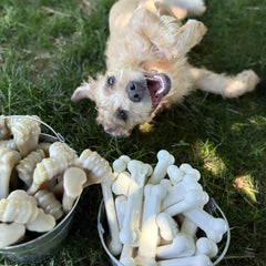 Texture multi-textures sur Nylabone Original Bone Power pour chien.