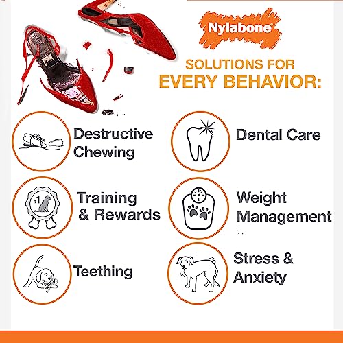 Nylabone Os Original Puissance, jouet durable apprécié par les chiens puissants