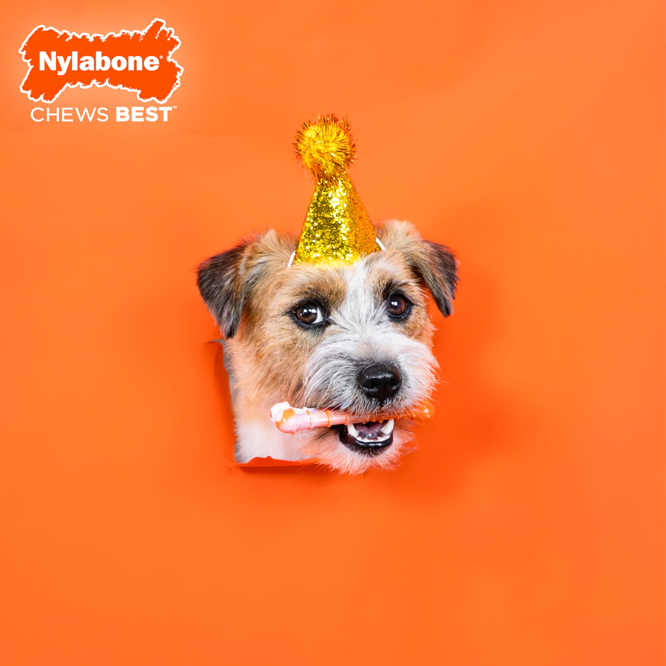 Nylabone os-texture-poulet-roti, saveur attrayante qui stimule l'intérêt et favorise la mastication.