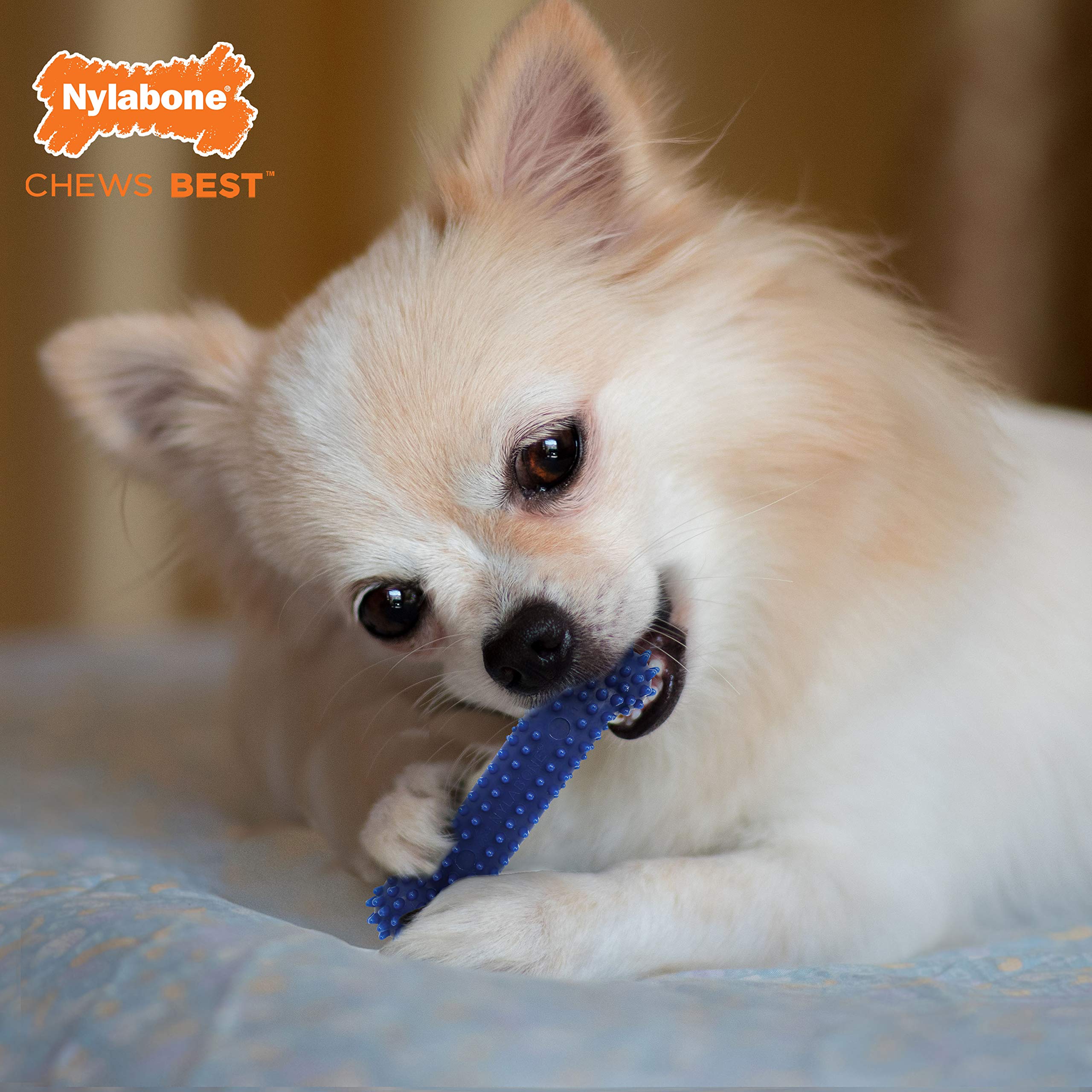 Pack 3 Flexi Chew pour chien petit, valeur et distraction.