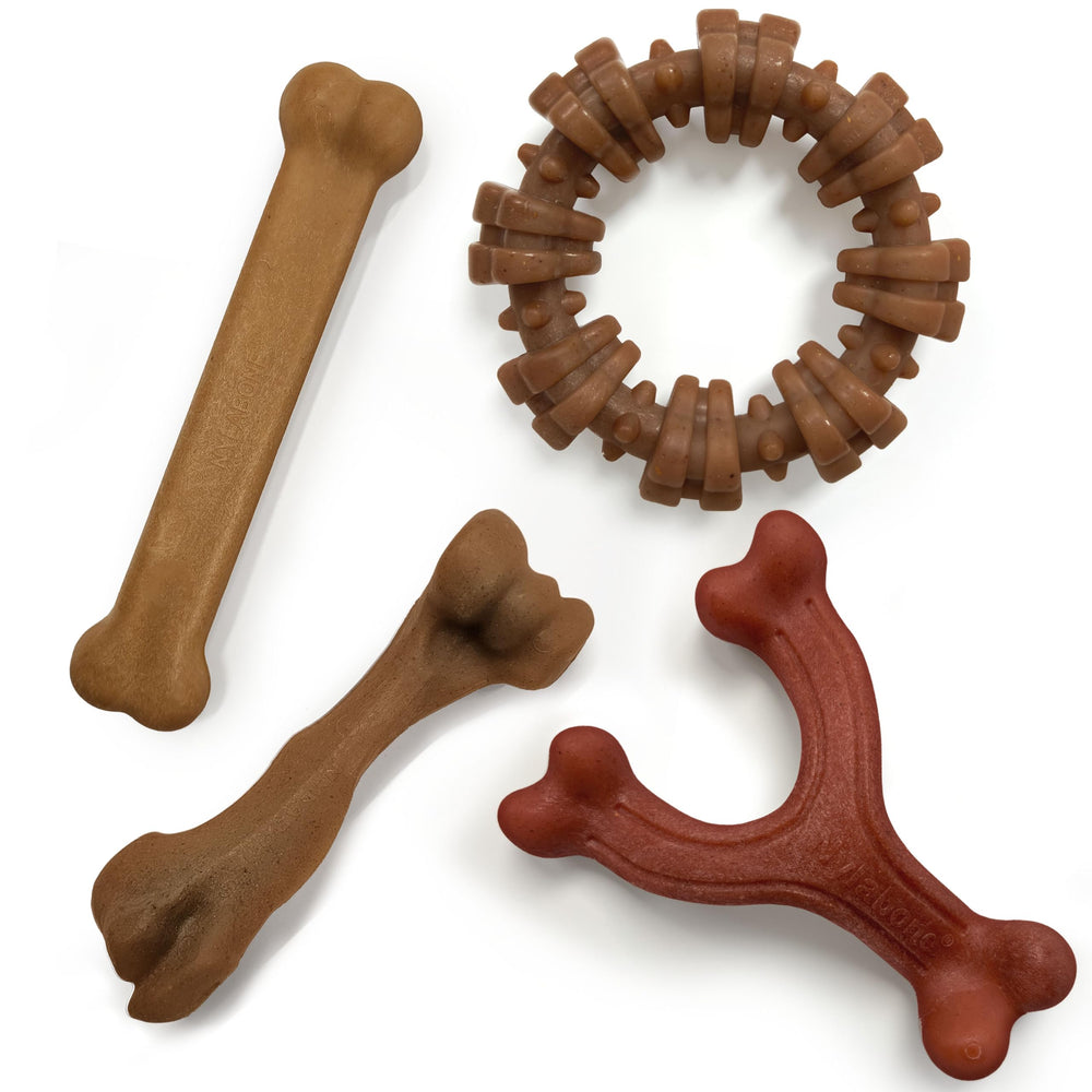Nylabone pack 4 jouets mordillables poulet et bacon pour chiens actifs et gourmands
