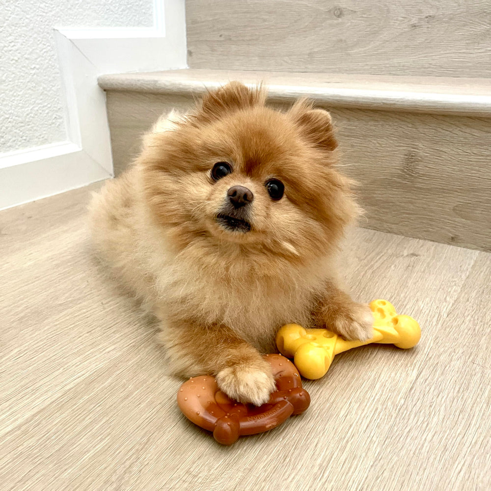 Nylabone Pack Puissance de Mâche — os fromage texturé pour récompenser et nettoyer les dents.