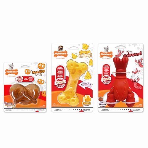 Nylabone Pack Puissance de Mâche — emballage durable prêt à offrir.