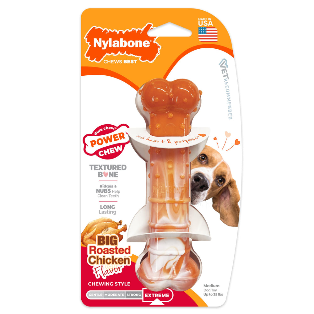 Nylabone parfum poulet durable, goût apprécié pendant le jeu.
