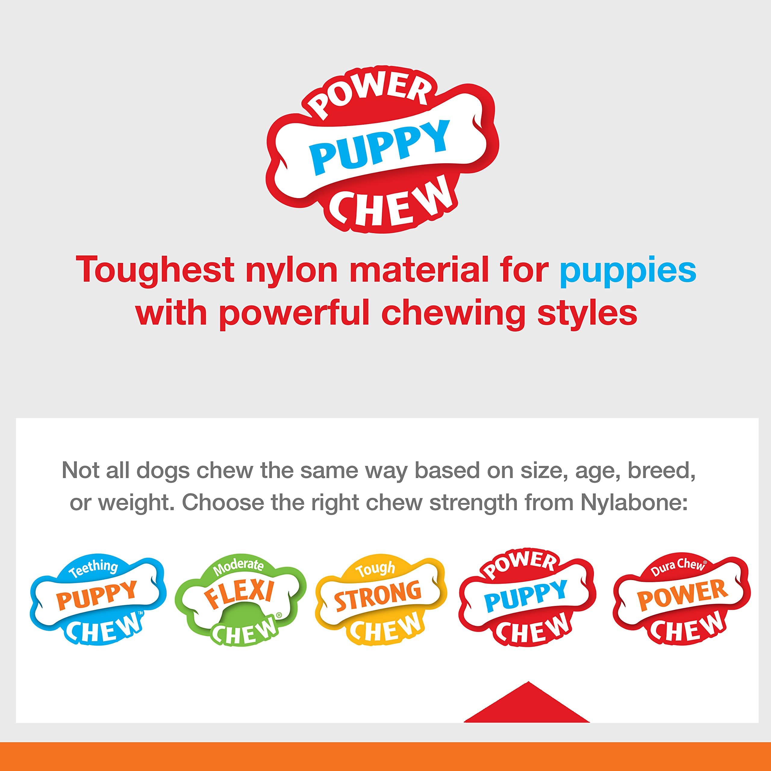 Nylabone Knuckle Bone format petit, adapte aux chiots jusqu a 15 livres.