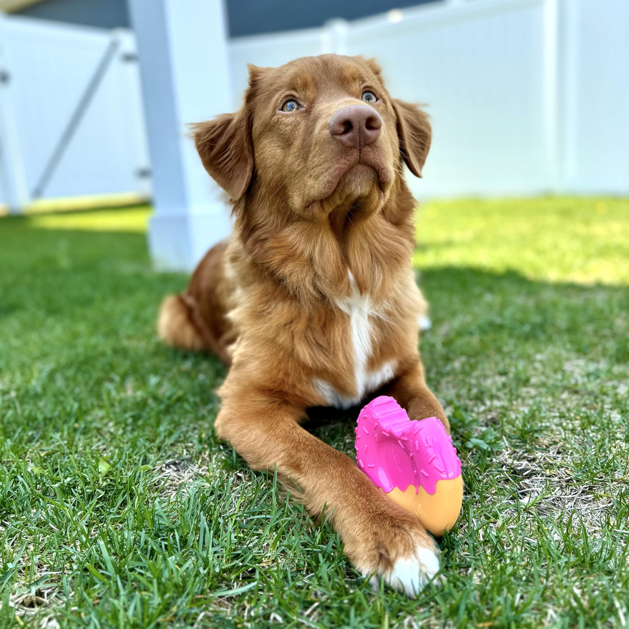 Nylabone Power Chew – guimauve stick : extrémités mordantes pour maintenir l’attention.