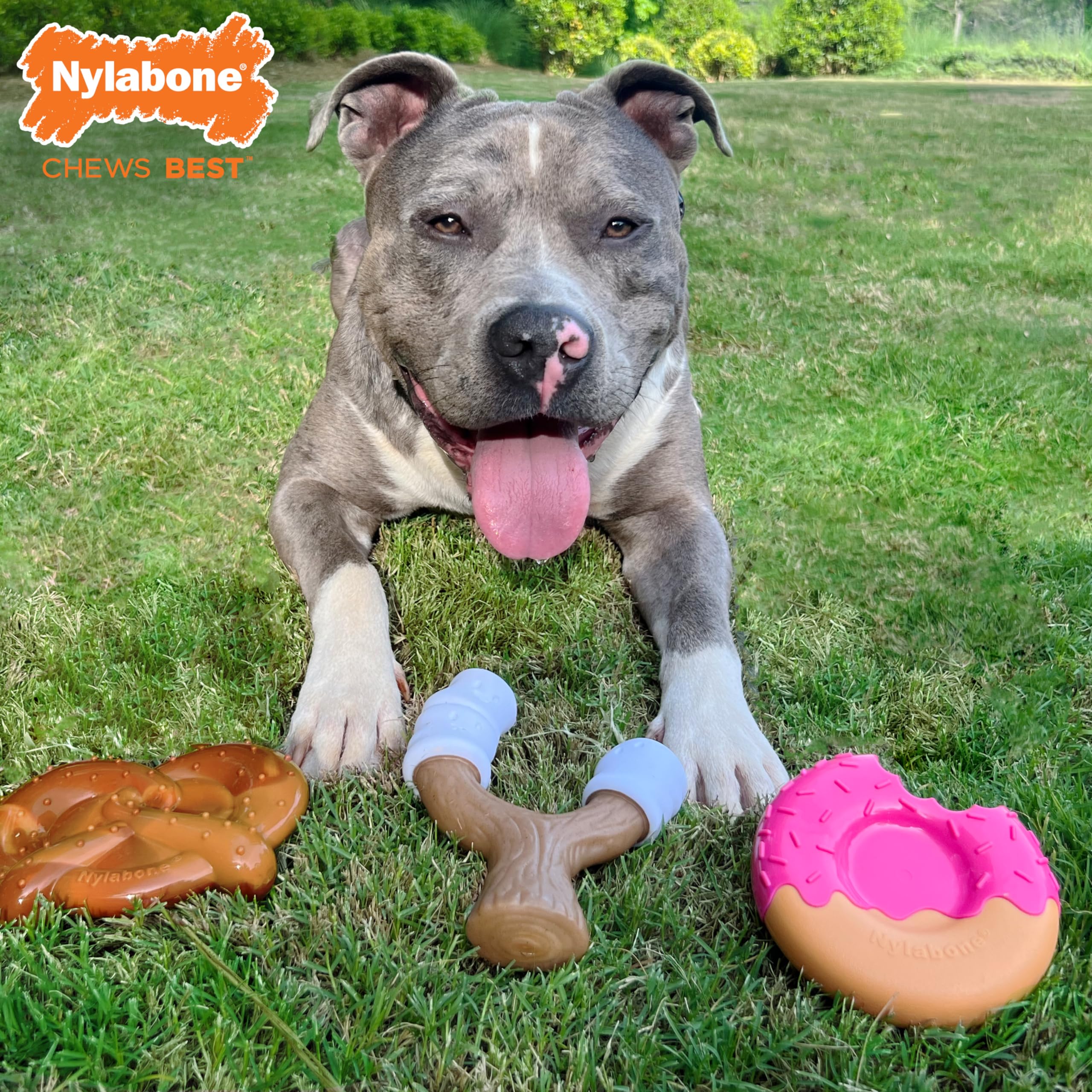 Nylabone Power Chew – marshmallow toasté : texture variée pour divertir et aider au nettoyage des dents.