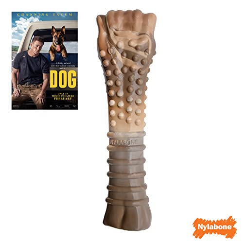 Nylabone Power Chew Camo, forme souvenir d’os, adaptée pour des séances de jeu prolongées.