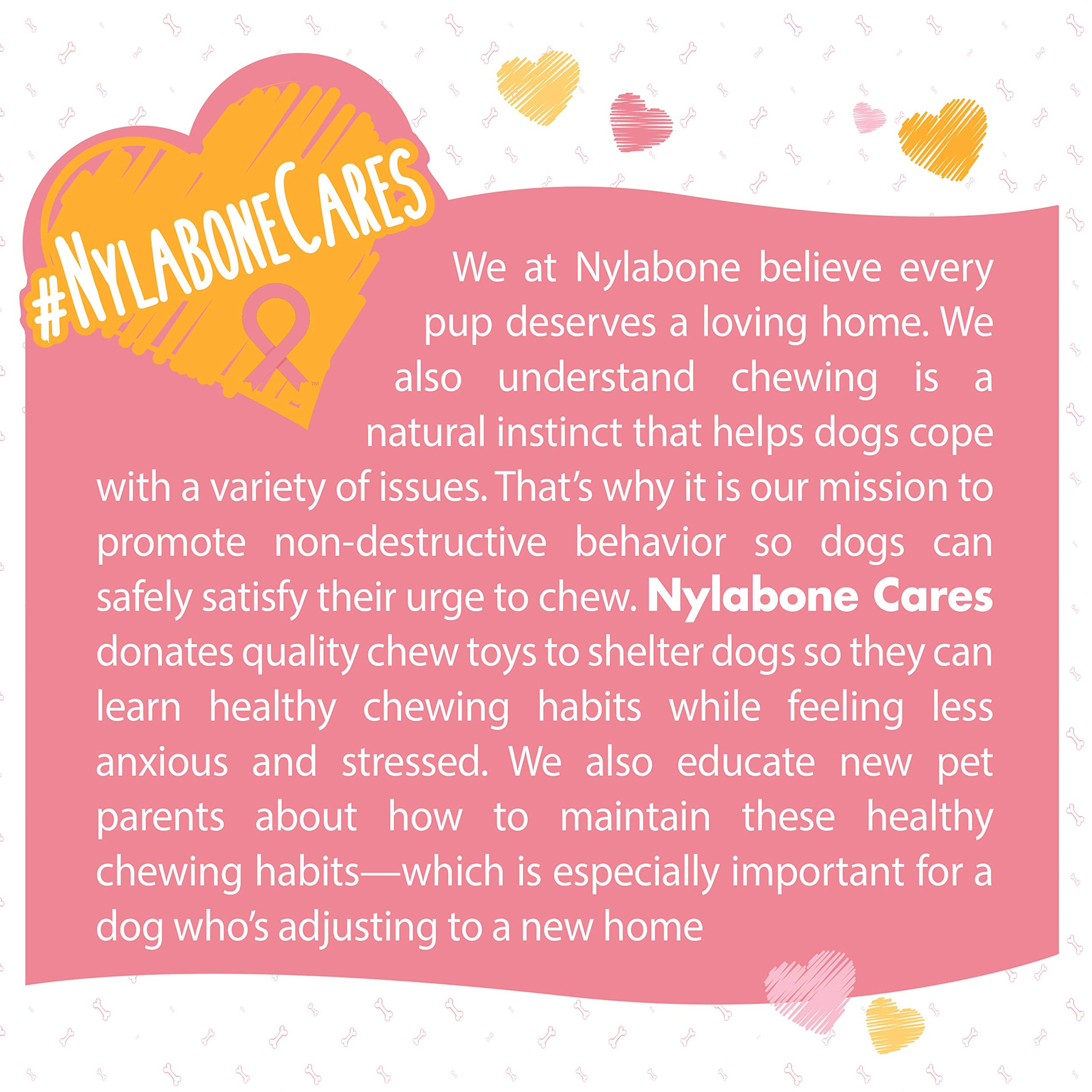 Nylabone Power Chew gout-poulet-persistant: saveur durable qui plaît aux chiens.