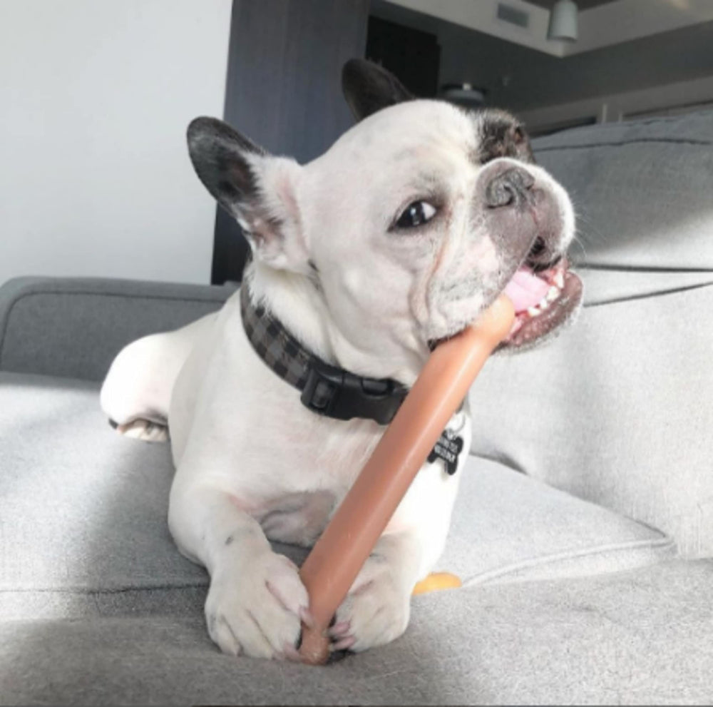 Nylabone Power Chew os classique au goût fumé, enrichit l'expérience de mastication.