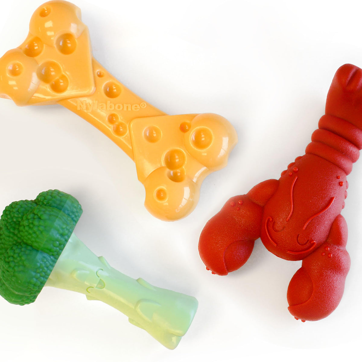 Nylabone Power Chew – os-fromage: texture savoureuse et durable pour sessions de mastication.