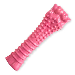 Nylabone Power Chew os-texture-dents: texture rugueuse qui aide à nettoyer les dents.