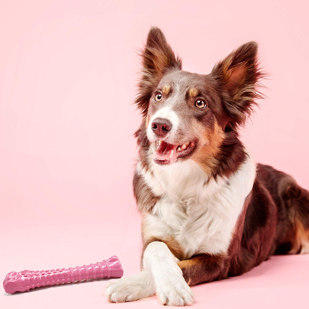Nylabone Power Chew poulet-arome-intense: goût poulet attractif pour chiens gourmands.