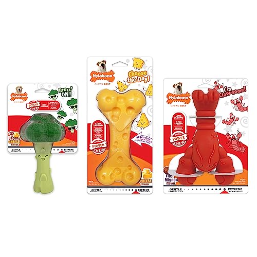 Nylabone Power Chew – trois-formes-amusantes-illustratives: stimulation sensorielle variée.