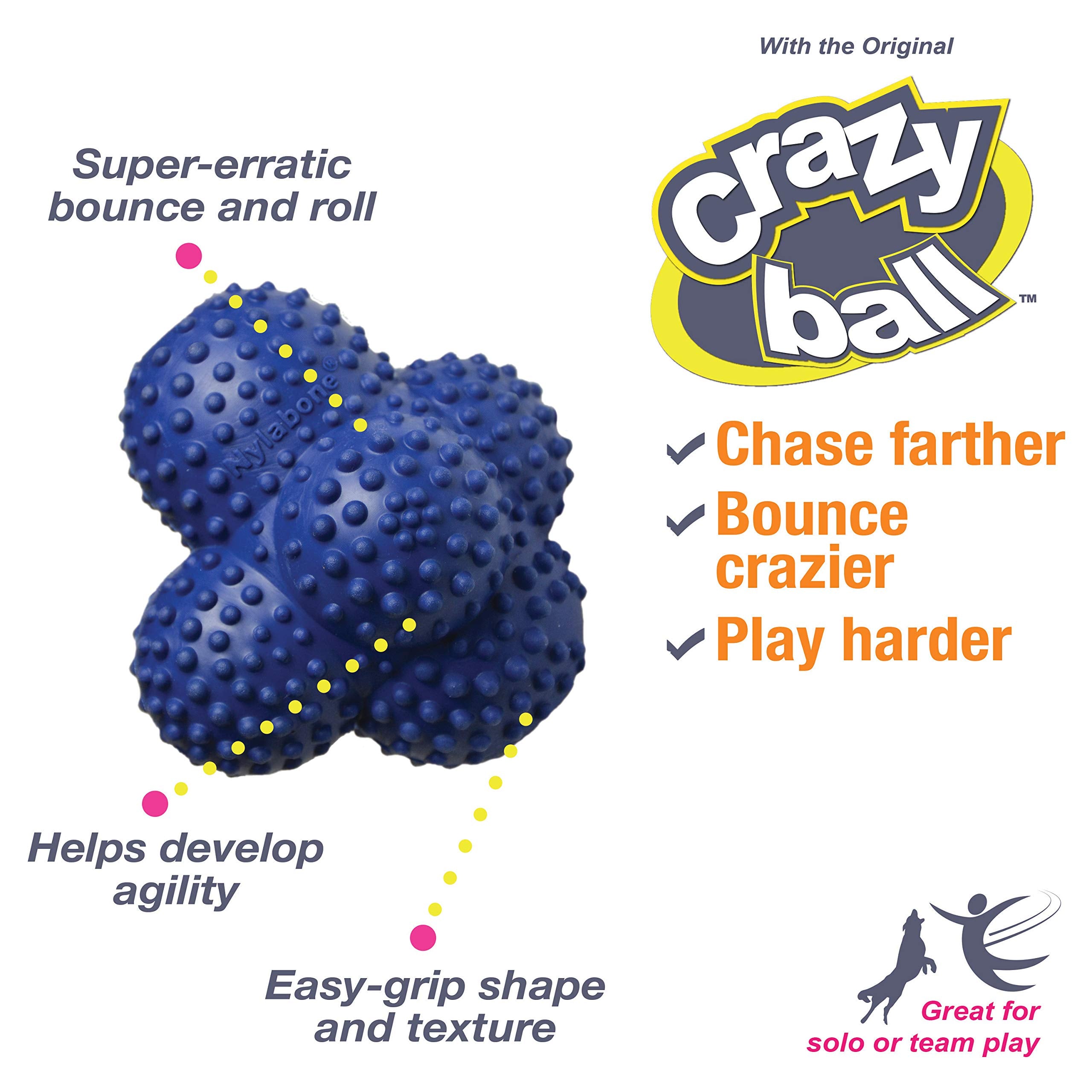 Nylabone Power Play Crazy Ball présente un rebond irrégulier stimulant l'agilité du chien.