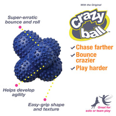 Nylabone Power Play Crazy Ball présente un rebond irrégulier stimulant l'agilité du chien.