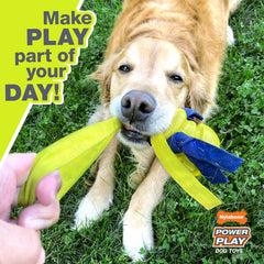 Nylabone Power Play Crazy Ball peut être lancé jusqu'à 125 pieds pour des sessions dynamiques.