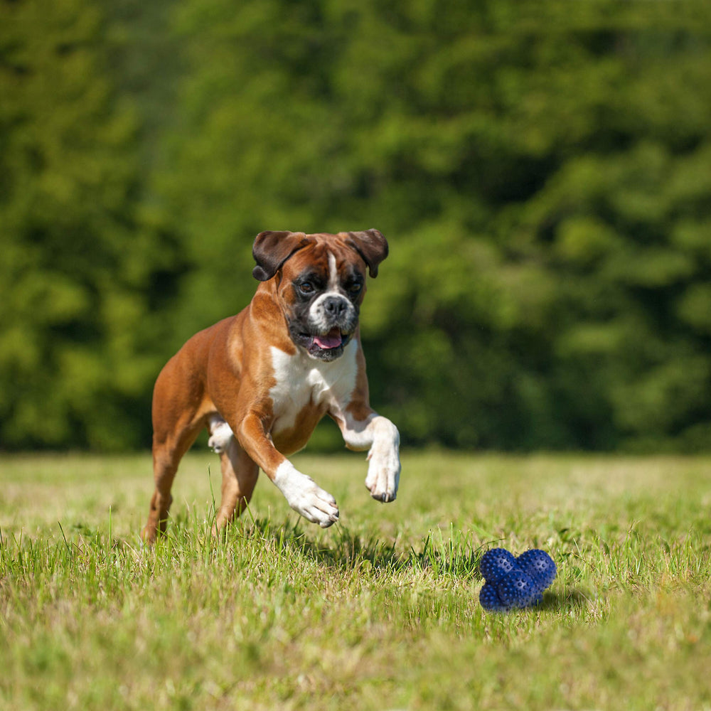 Nylabone Power Play Crazy Ball est durable grâce au caoutchouc naturel utilisé.