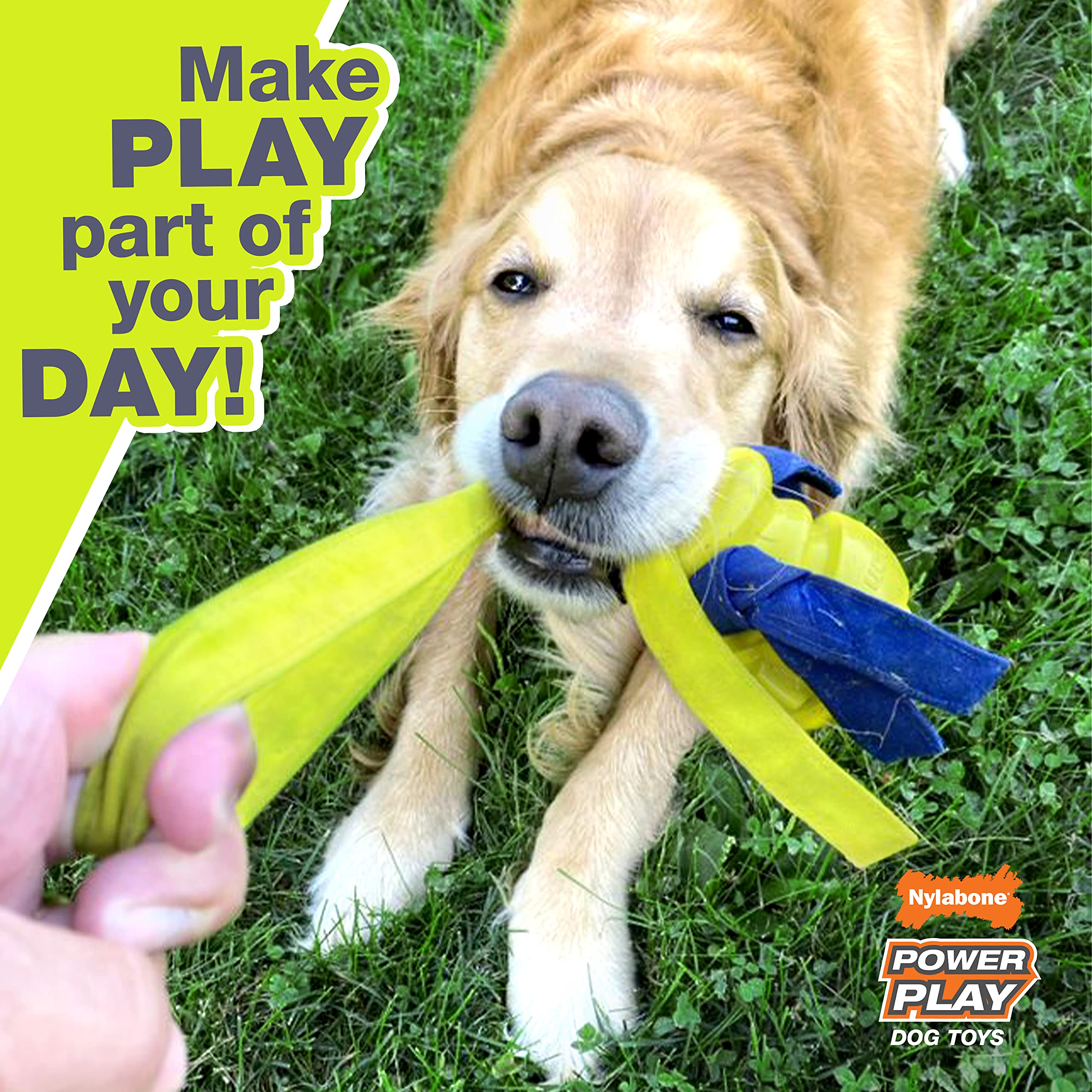 Nylabone Power Play Gripz, balle-basket avec bruit intégré pour le divertissement.